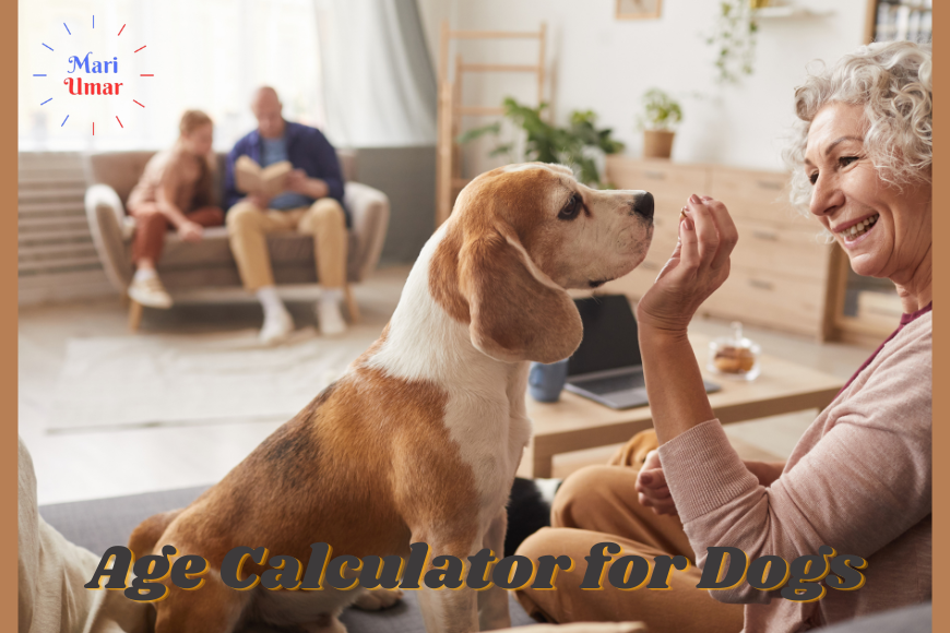 Age Calculator for Dogs