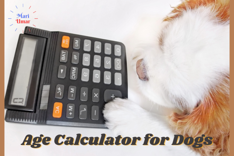 Age Calculator for Dogs